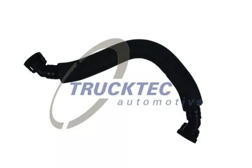Hose, crankcase ventilation