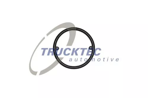 Seal Ring, oil cooler (lubrication)