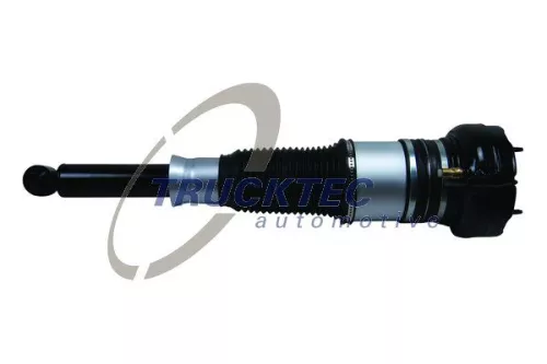 Air Suspension Strut