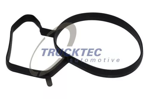 Gasket, thermostat housing