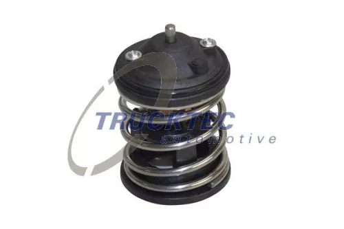Thermostat, coolant