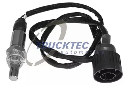 Oxygen Sensor