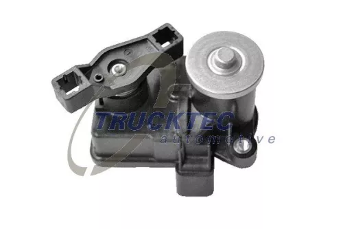 Control, swirl flaps (induction pipe)