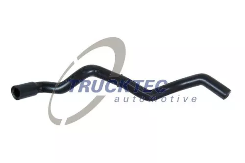 Hose, cylinder head cover ventilation