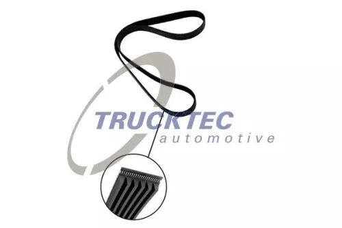 TRUCKTEC AUTOMOTIVE V-ribbed Belt (02.19.351)