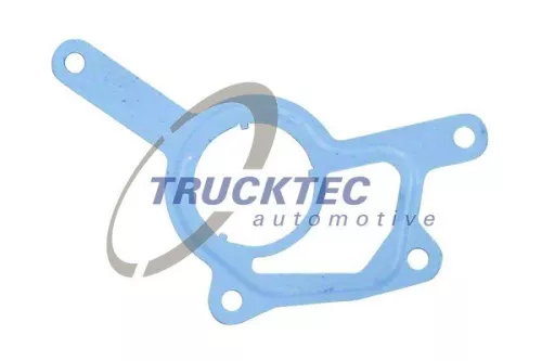 Gasket, vacuum pump