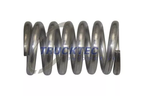 Spring, muffler
