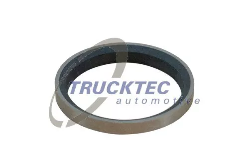 Valve Seat Ring