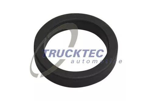Gasket, oil cooler